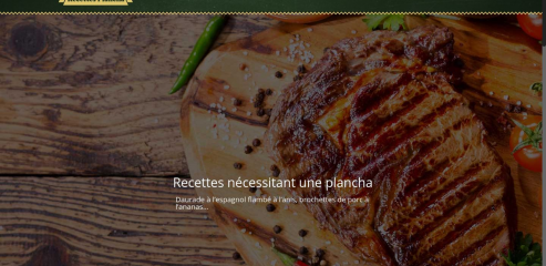 https://www.recettes-plancha.com